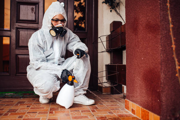 Reliable Wasp Removal contractor in Highland Lakes, AL by Show Me Pest Control